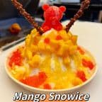 Best Mango Snowice in Columbus, OH